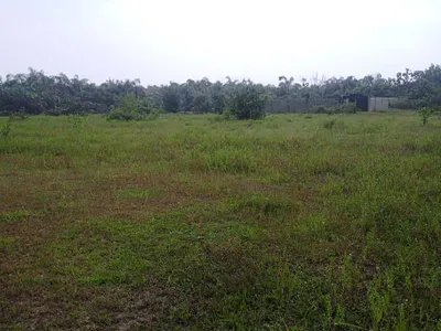 2 Acres of Land — Beside Beach Wood Estate, Shapati, Ibeju Lekki, Lagos