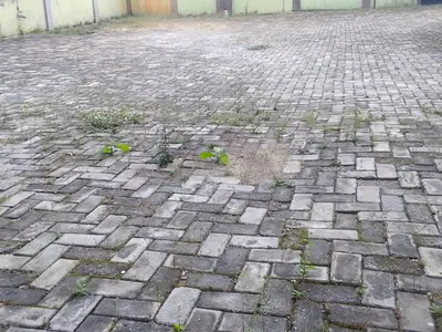 Land Measuring 242.31SQM — Aladura Estate, Anthony, Maryland, Lagos