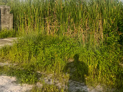 Newly Out Residential Land Opportunity — Wole Olateju Crescent, Off Admiralty Way, Lekki Phase 1, Lekki, Lagos