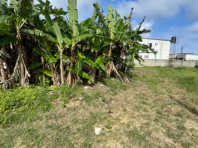 Affordable Land — Awoyaya, Ibeju Lekki, Lagos