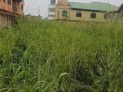 Full Plot of Land with C of O — Ipaja, Lagos