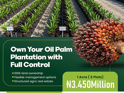 Acres of Plan Oil Farm Land — Palmrich Farm Phase 4, Abeokuta North, Ogun