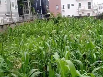 1000 SQM, Residential, C of O — Around Sella Maris, Life Camp, Abuja
