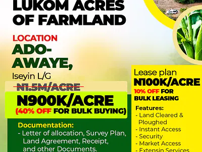 Lukom Acres of Farmland — Ado-Awaye, Iseyin, Oyo