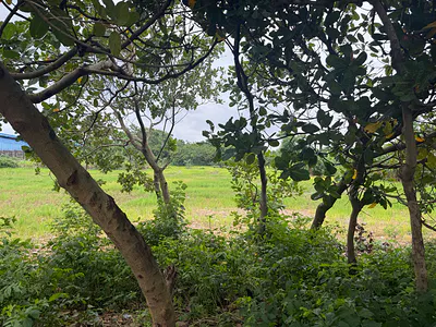 9.88 Hectares Mixed-Use Land — Idu Industrial, Abuja