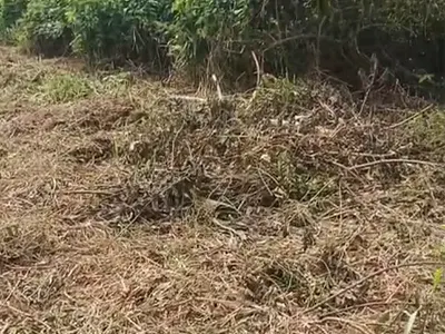 862SQM Land — Shangisha . Oko Filing Axis, Magodo Phase 2, Magodo, Lagos