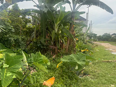 Portable Buy and Build Dry Land — Rukpakulusi Eliozu Opposite Naf Harmony Estate, Port Harcourt, Rivers