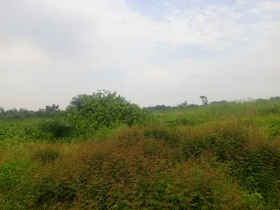 Buy & Build Land in Gated Community — Eputu, Ibeju Lekki, Lagos