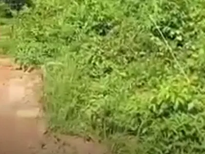 1acres of Land — Lagos-Ibadan Expressway, Obafemi Owode, Ogun