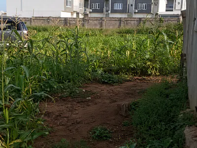 1300SQM Residential Land on Tarred Road — Opposite Shell Cooperative Estate, Gaduwa, Abuja