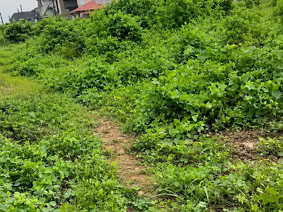 Half Plot of Land — Road 9, Isheri North GRA, Ojodu, Lagos