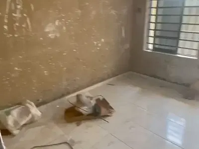 A Decent Newly Built Room Self Contain — Ifako, Gbagada, Lagos