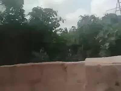 100×100 Fenced & Gated Land with C of O — Fanalu Road, Country Home, Benin, Oredo, Edo