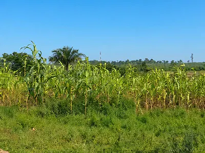Mixed-Use Land 30 Hectares — Karsana North, Karsana, Abuja