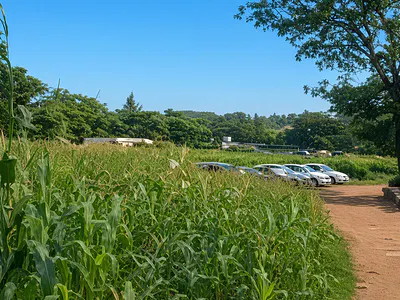 1.14 Hectare Residential Land — Jabi, Abuja