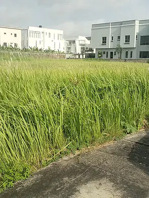 Prime 900 SQM Residential Land — Lekki, Lagos