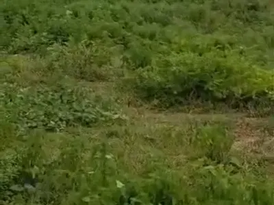 6500.25 SQM of Land — Behind Next Cash & Carry, Jahi, Abuja