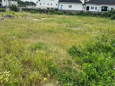 1000 SQM Premium Residential Land — Ikoyi, Lagos