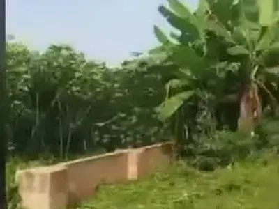 100×100 Land with Dwarf Fence --- Obagie by Ogheghe, Benin City — Obagie by Ogheghe, Benin, Oredo, Edo