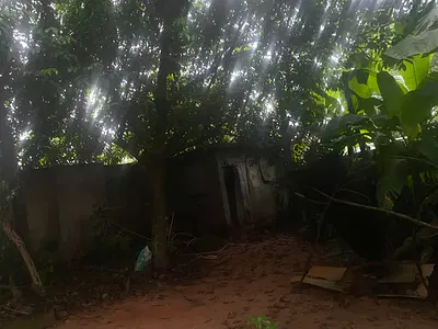 Land in a Prime Location — Federal Housing Estate, Trans-Nkisi, Onitsha, Anambra State, Onitsha, Anambra