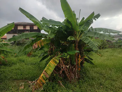 Prime Fenced Land — Akute - Ajuwon Road, Akute, Ifo, Ogun