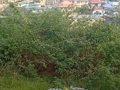 220 SQM of Dry Land — Aguda, Ogba, Ikeja, Lagos
