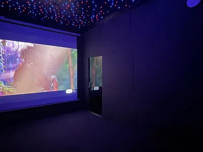 Aesthetic Deluxe 2 Bedroom Flat with a Private Cinema, Bathtub & BDSM — Lekki, Lagos