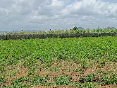 Commercial Plot — Guzape 2,, Guzape District, Abuja