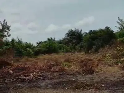 Prime 1,164SQM Land — Lekki, Lagos