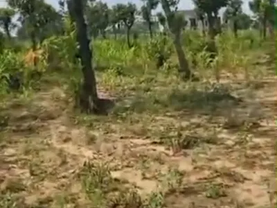 950SQM Land — Life Camp, Abuja