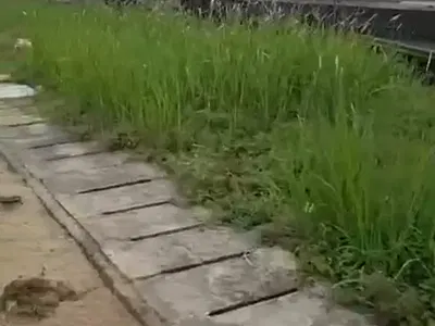 Residential Land in Secured Estate — Lekki, Lagos