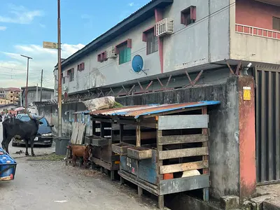Block of 4 Flats, 3 Bedroom Corner Piece — Ade Omo-Olubiyi Street, Aguda, Surulere, Lagos