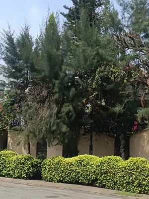 1030 SQM Residential Development Land — Ikoyi, Lagos