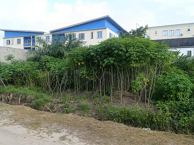 568SQM Dry Land — Ajah, Lagos