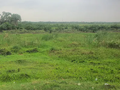 Ultra-Prime 10 Hectares Development Land — Maitama 2, Maitama District, Abuja