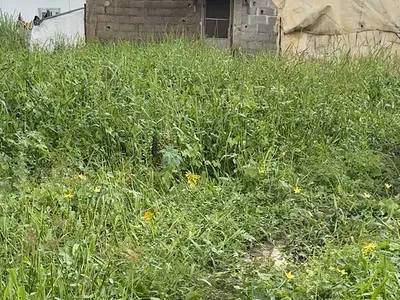 3 Bedroom Bungalow — Off Adegboyega Street, Olowoora, Omole Phase 2, Ikeja, Lagos