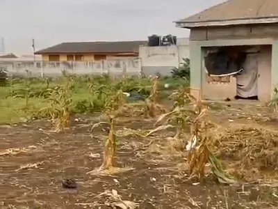 4077SQM Land for Development — Beside Kudirat Abiola Estate, Ifako-Ijaiye, Lagos