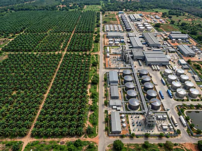 Vegetable Oil Factory and Palm Plantation Estate — Berger, Arepo, Ogun