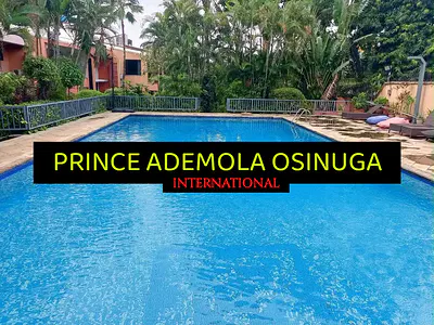 Furnished 2 Bedroom Apartment, Swimming Pool, Gym, Green Area Etc — Ikoyi, Lagos
