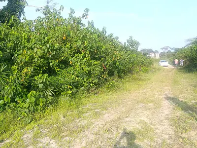 800SQM of Land at a Discounted Rate — Ajah, Lagos
