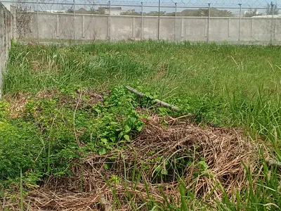 Land — Lekki, Lagos