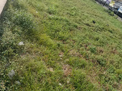 Land — Off Freedom Way, Ikate, Lekki, Lagos