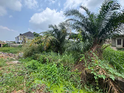 Land in a Secured & Gated Environment — Secured & Gated Environment at Shangisha, Magodo Phase 2, Magodo, Lagos