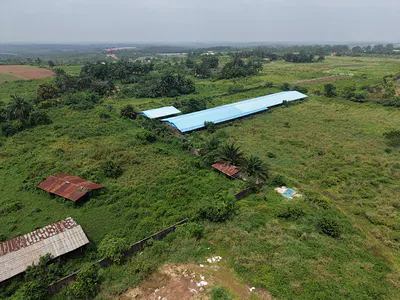 13-Acre Fenced & Gated Farm Land — Epe, Lagos