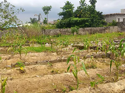 1 Plot of Land — Ajah, Lagos