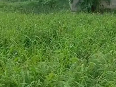 Well Located 2 Plots Fenced Round — Monastery Road, Sangotedo, Ajah, Lagos