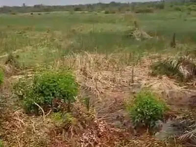 Prime Plots of Land in Secured Estate — In Secured Ogudu GRA 1, GRA, Ogudu, Lagos