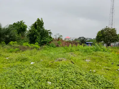 Half Plot of Land — Eleko, Ibeju Lekki, Lagos
