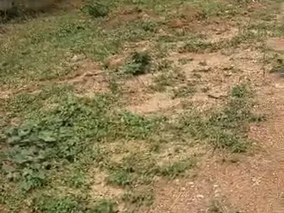 Residential Land — Mississippi Street, Maitama District, Abuja
