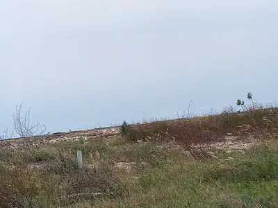 Premium Serviced Plots of Land in a Beautiful Estate — Victoria Island (VI), Lagos